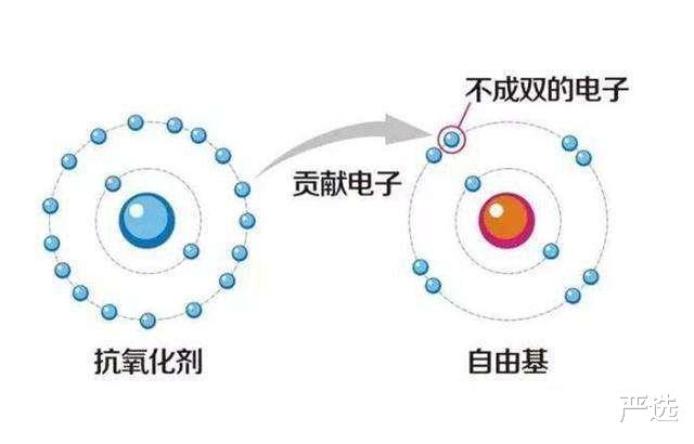 吉娜·爱丽丝|吉娜被要求卸掉大浓妆，看清她的真实素颜后，网友：男生都心动了