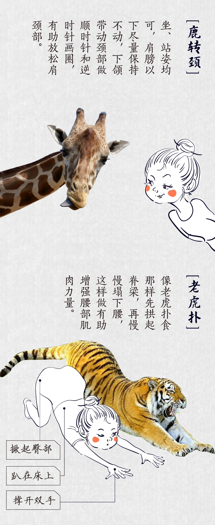 考古学家 世界动物日 在养生这件事上，动物也不赖！