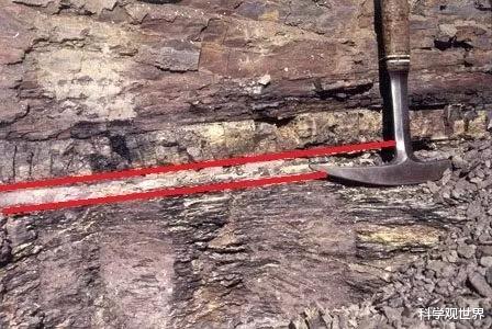 昆明宣言 一颗陨石是如何让全球的恐龙灭绝？那次撞击之后地球发生了什么？