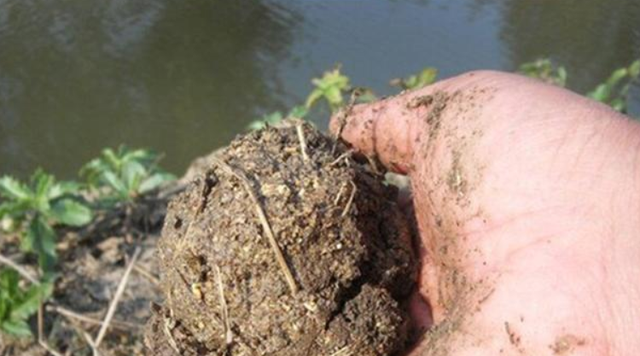 |打窝一会儿鱼就散了，试试这个“土办法”，有效提升聚鱼效果