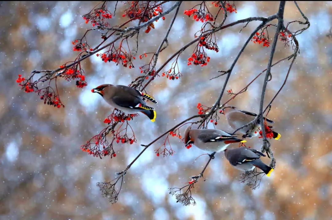 相机|是器材党的错觉，还是技术流的局限？摄影深坑你中了几个