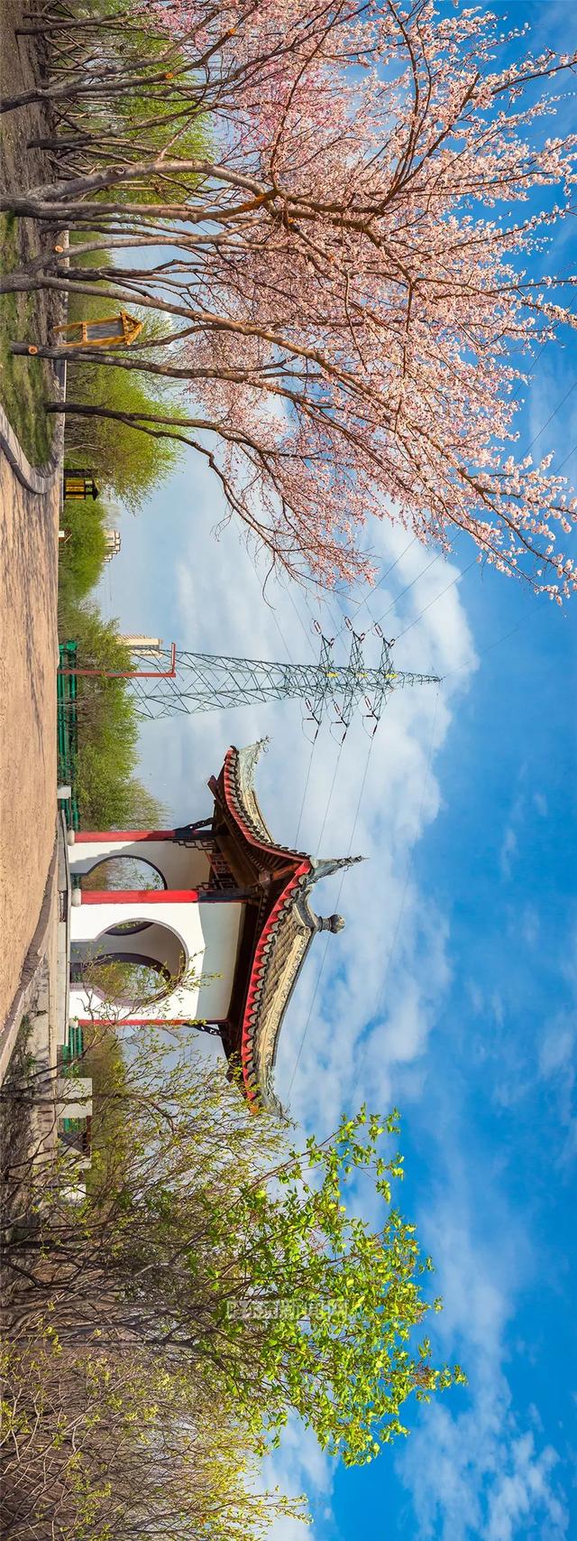 哈尔滨新闻网 好多美图｜景美人少不堵车，香坊10个免费大公园五一来逛逛