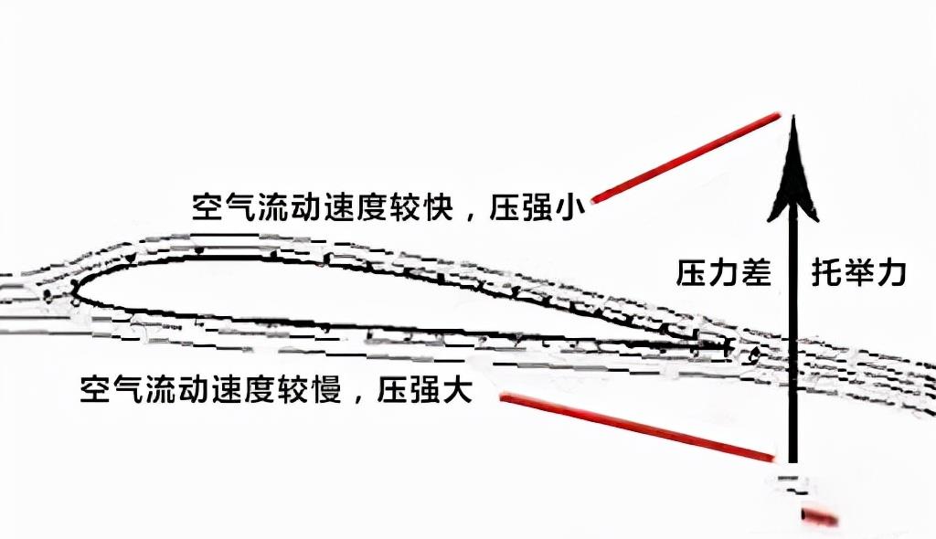 没翅膀却会飞,研究员发现金花蛇秘籍,其掌握空气动力学