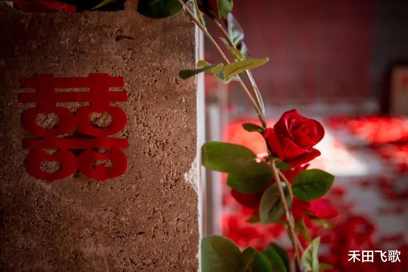 禾田飞歌 准婆婆嫌彩礼太高设计准儿媳，儿子愤然离家：你不给，我给