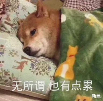 金晨|金晨的胸椎都弯成括号了，网友的注意力却全在她故意遮掩假体？