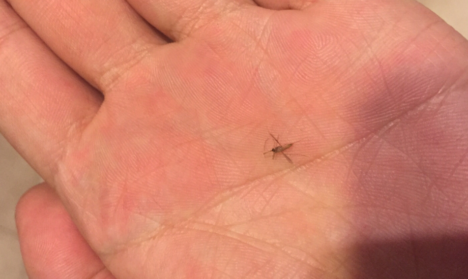 |钓鱼算杀生吗?来,辩个痛快