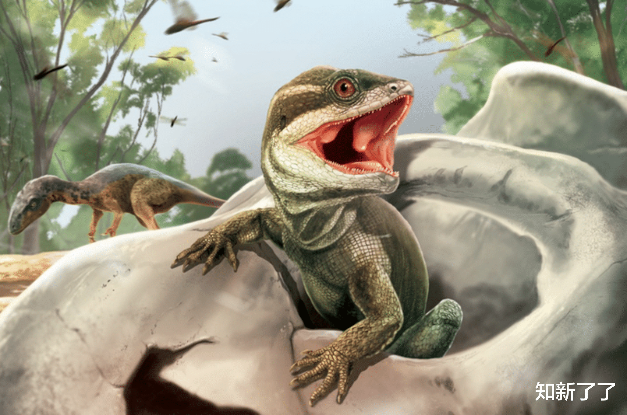 化石 蛇的起源是什么呢？2.314亿年前小怪兽的化石给出了答案