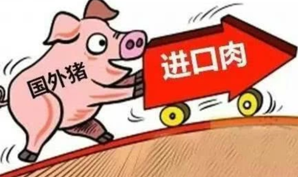 春节 春节倒计时，猪价还会“一直跌”吗？看业内人士怎么说