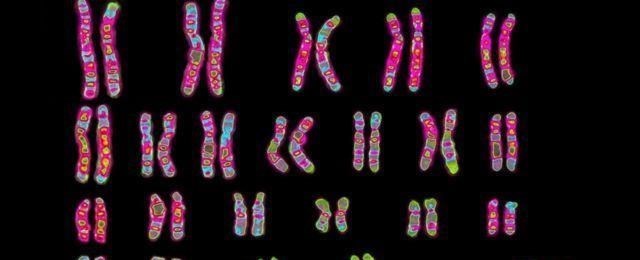 基因 人去世后要经过火化处理，基因作为遗传物质，火化后去哪了？