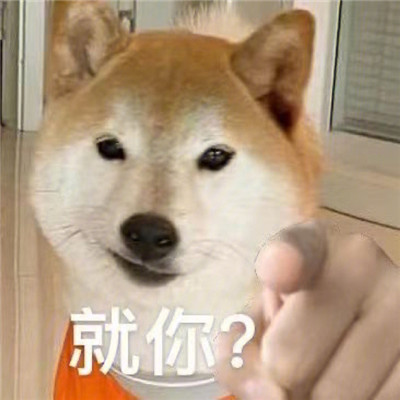 桉月|狗狗爆笑的聊天表情合集
