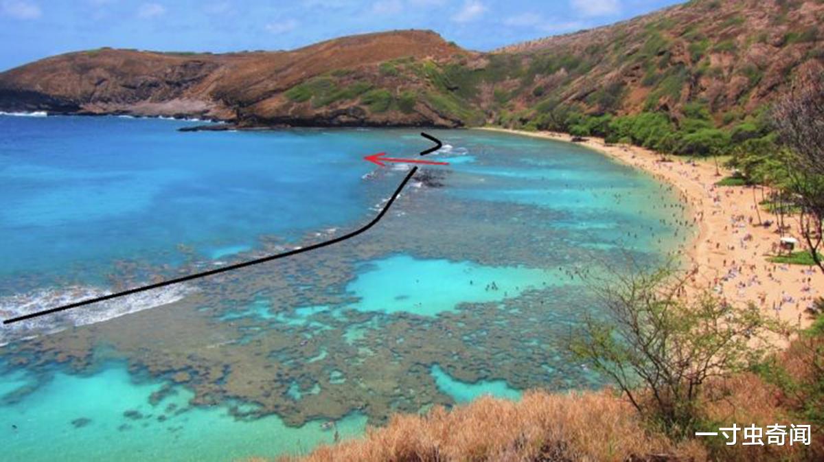 一寸虫奇闻|福建17人落水11人死亡,平静海面暗藏杀机?罪魁祸首或为离岸流