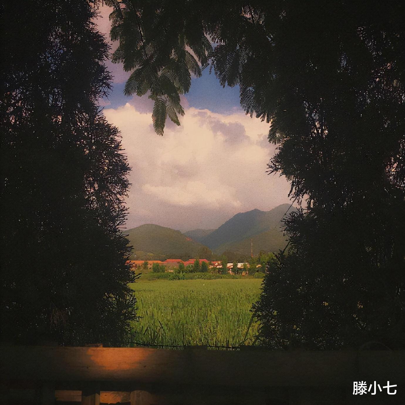 滕小七|职场的烦恼，我今年27岁了，该不该赌一场？