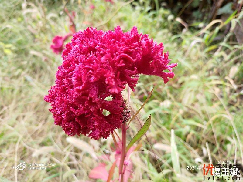 |实力极为强悍 腾讯ROG游戏手机5s Pro优科技评测