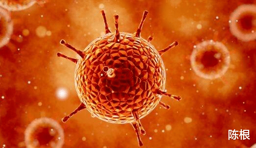 纳米 陈根：微型纳米体，中和病毒效率增强1000倍