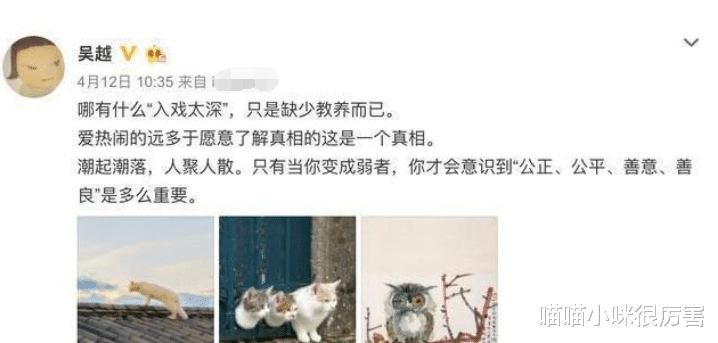 陈建斌|中国有4位对名利“无欲无求”的女演员,人淡如菊都是女神级别的