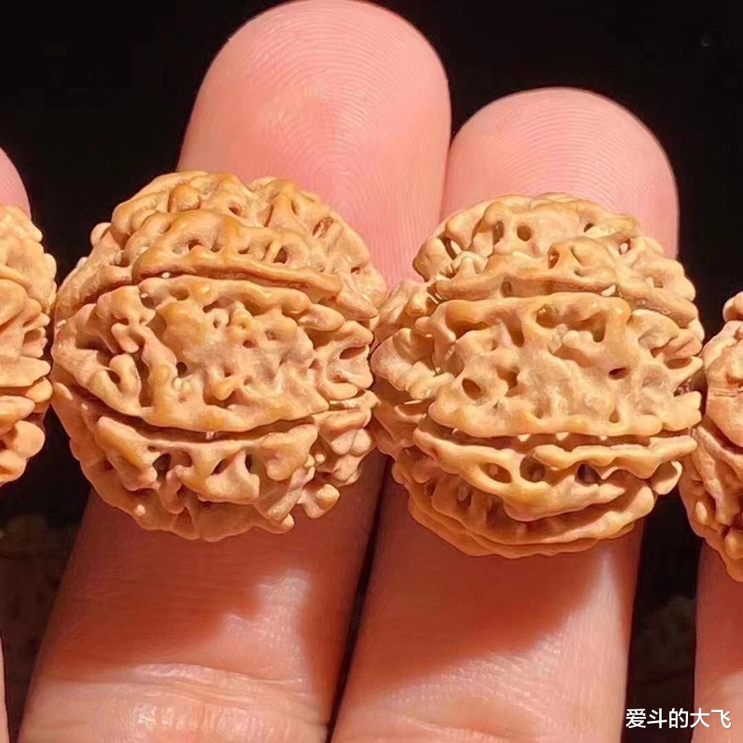 文玩|尼泊尔七瓣大金刚手串，文玩界奇葩的存在