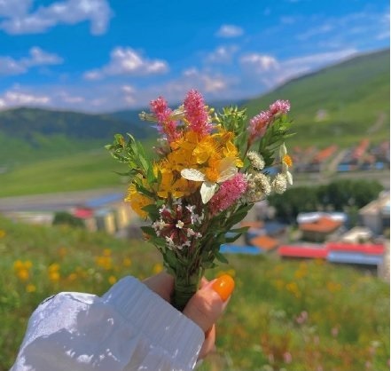 特地负离子瓷砖|处暑至，秋粉墨登场