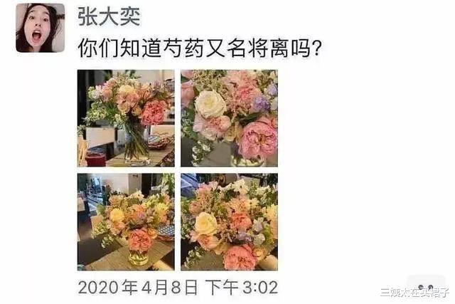 三姨太在买裙子 中国网红第1人一 张大奕，逼宫正妻，被原配公然按地摩擦