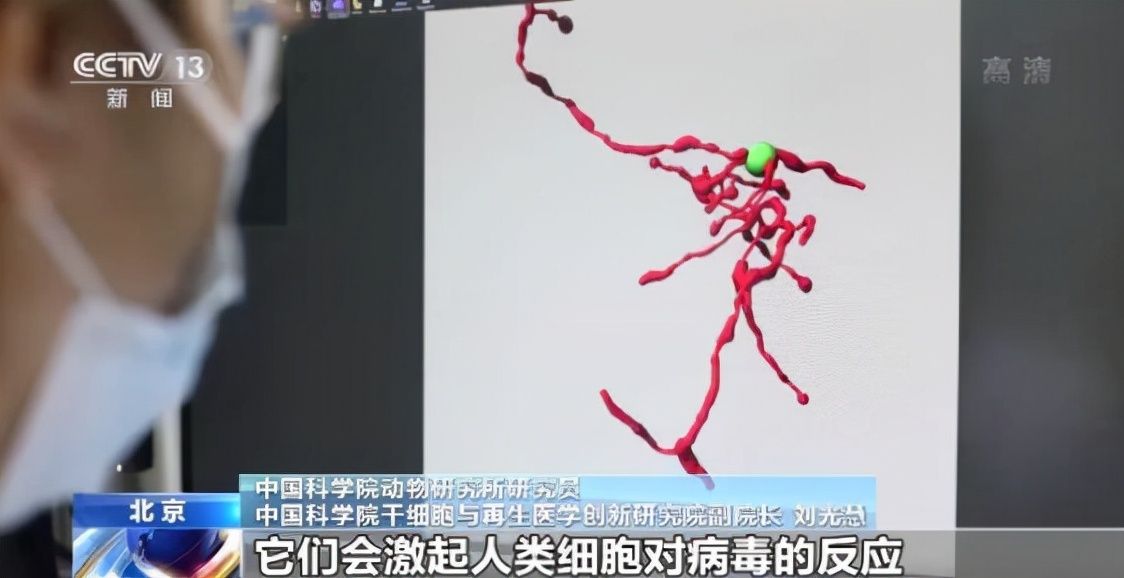 科学家|央视：老而不衰，老而无病或将实现？中国科学家破译衰老密码！