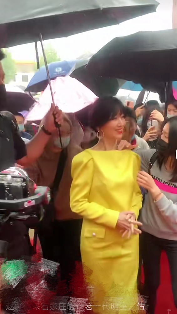 赵雅芝|66岁赵雅芝人气不减！雨中优雅漫步获众人打伞，一旁助理忙擦身