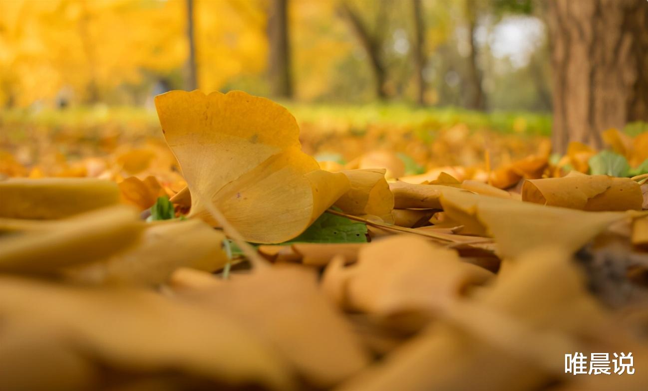 唯晨说|识人:情商高的人知分寸,不会做这几种事