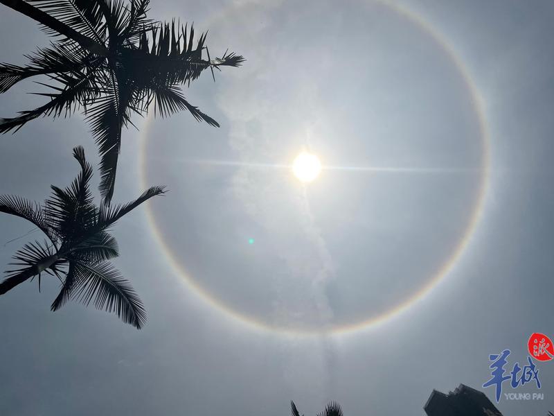 羊城派 打开 好靓，炫目“日晕”刷屏朋友圈！专家有重要提醒