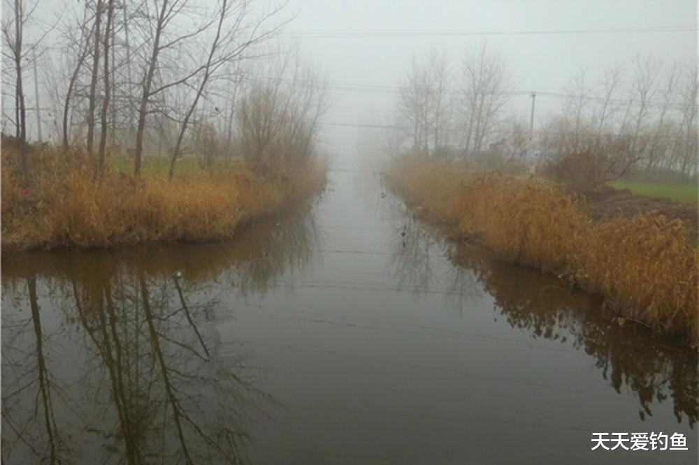 霓虹深渊|不做对比不知道，冬季钓鲫鱼，最好的天气不是晴天，而是这种天气