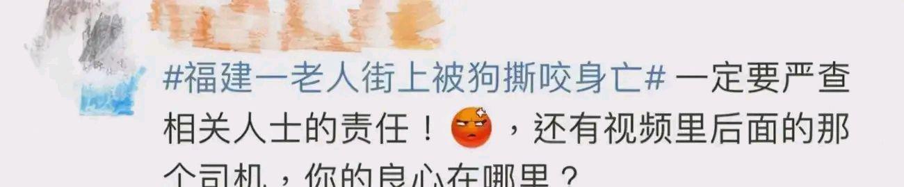 高秀花说育儿|恶狗咬死71岁老太，货车司机视而不见引起网友不满