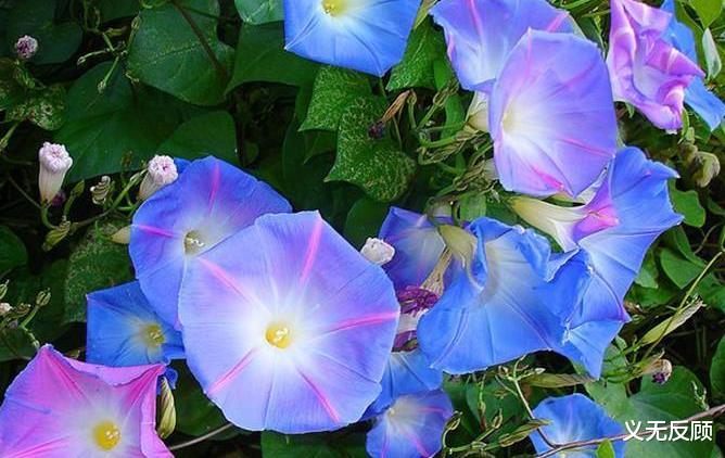 |这些日子出生的人，事业瓶颈能突破，2021鹏程万里