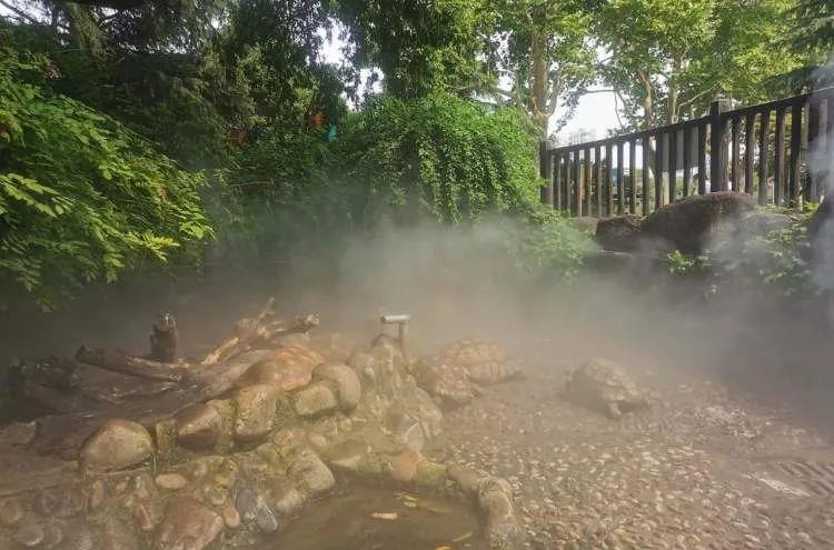 火星 高温天，动物消暑度夏有“凉方”