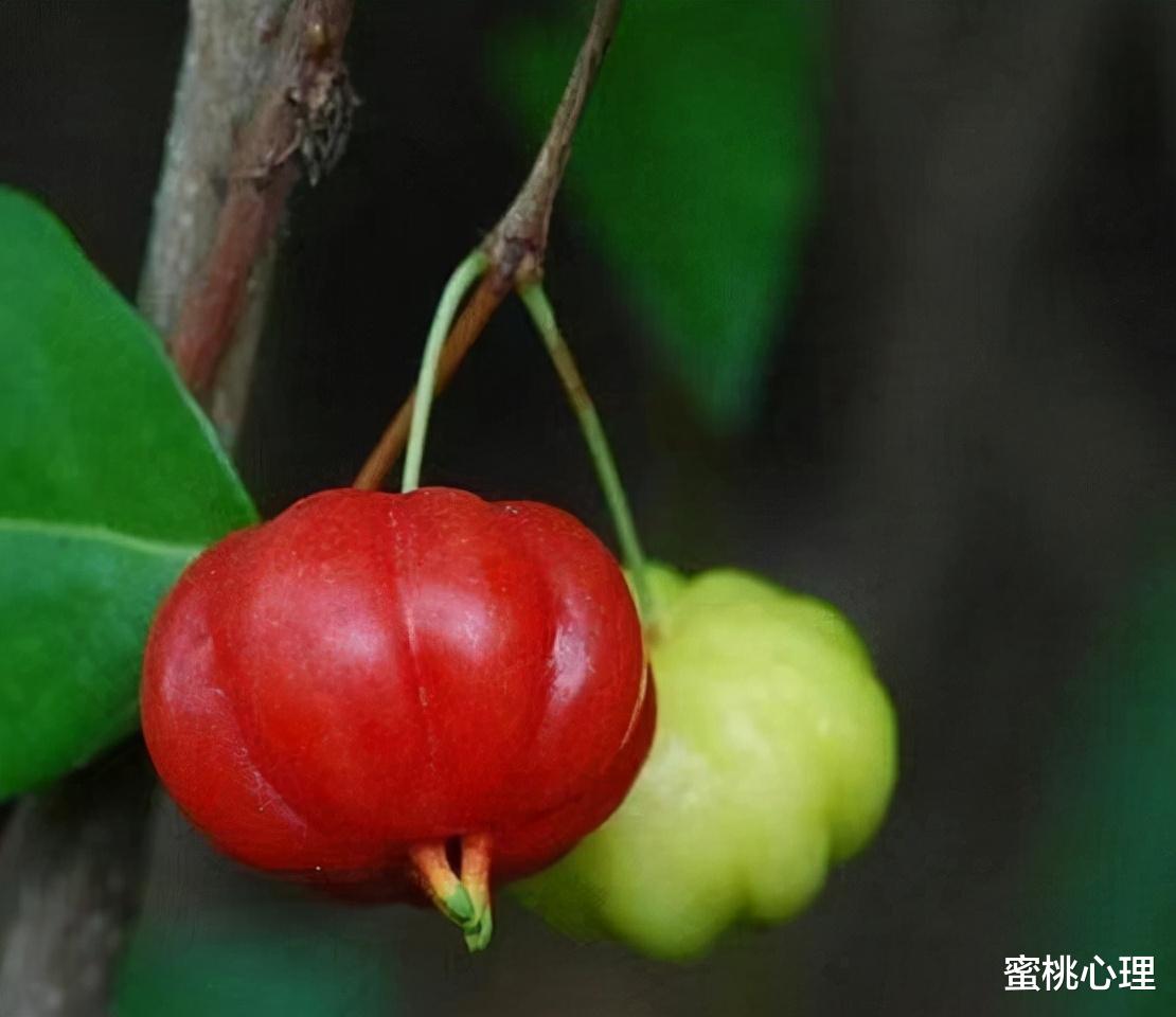 蜜桃心理 一个人的人品，从走路姿势上就能看出，别不信很准