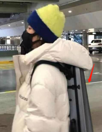 王一博|张雨绮承认姐弟恋,鲜肉男友李柄熹对她表白:特别特别爱