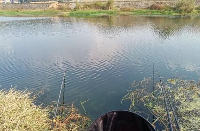 原神|野钓还被人打闭口？惹不起还躲不起，听我一句劝“溜吧”