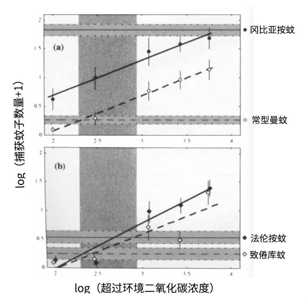 神逗奶爸|户外活动时，如何科学地让蚊子都去咬爸爸？妈妈真是用心良苦啊