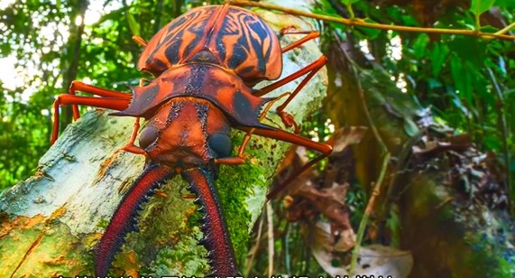 成哥看社会|5种巨大天牛昆虫，科学家还没发现的巨大幼虫，世界最大的伪蟑螂
