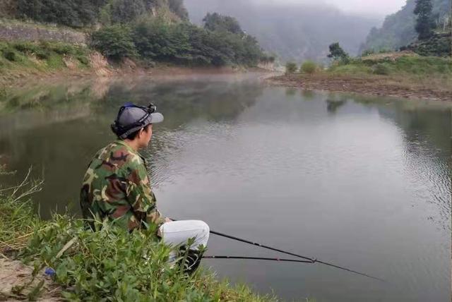 |只能偷偷告诉你，夏天唯独这鲤鱼钓法才够狠