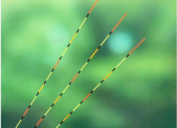 龙虾|谈谈手竿浮钓鲢鳙时浮漂的选择。水库钓鱼户外野钓大头鱼。