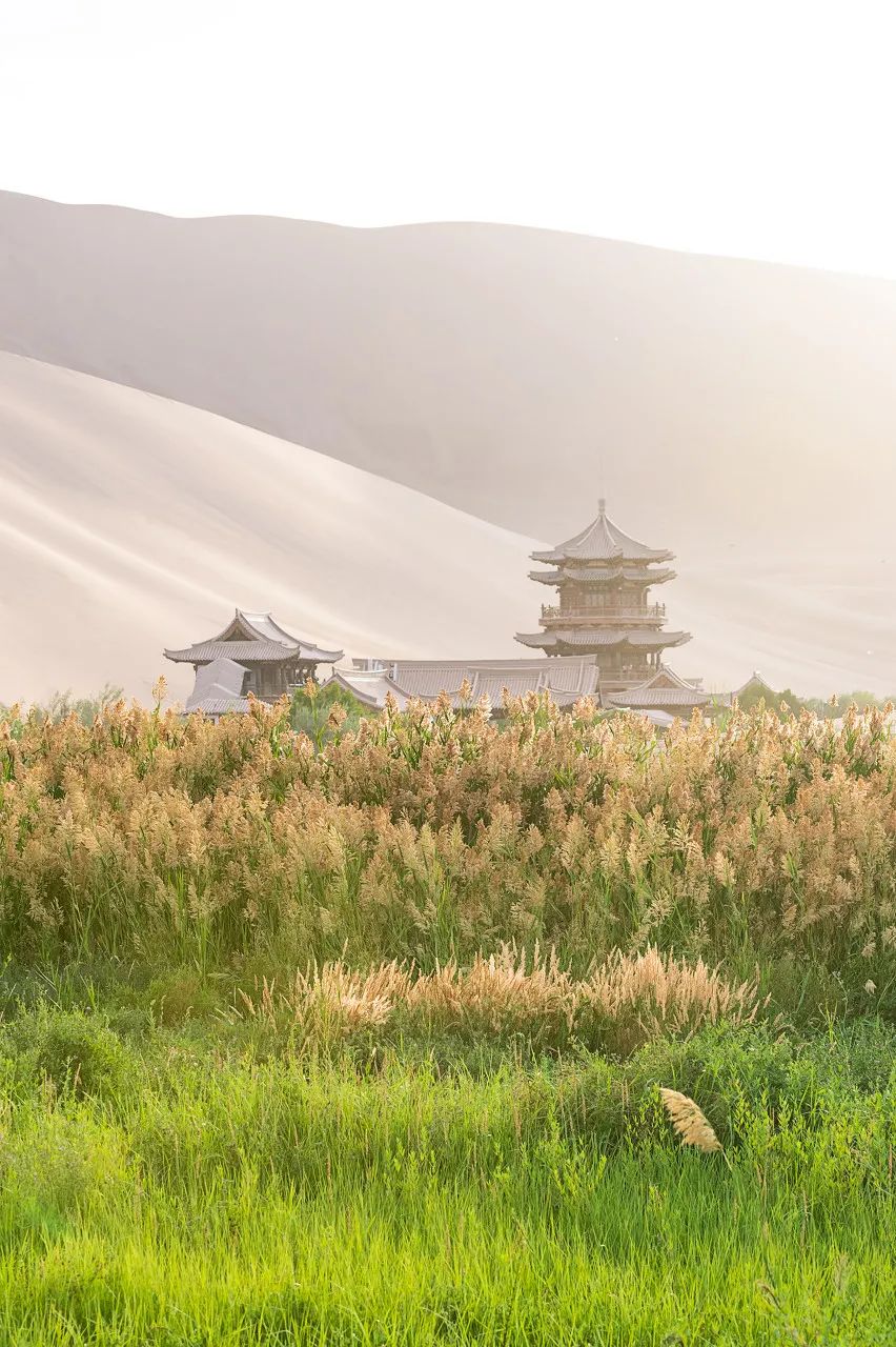 上海市 “中国最美的50个地方”榜单出炉!你打卡过几个?