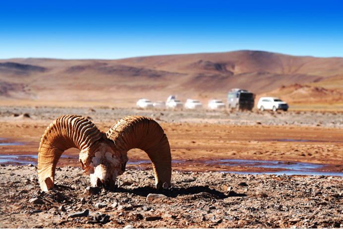 少明科学|你们知道中国四大无人区，分别在哪里吗？可可西里是其中之一