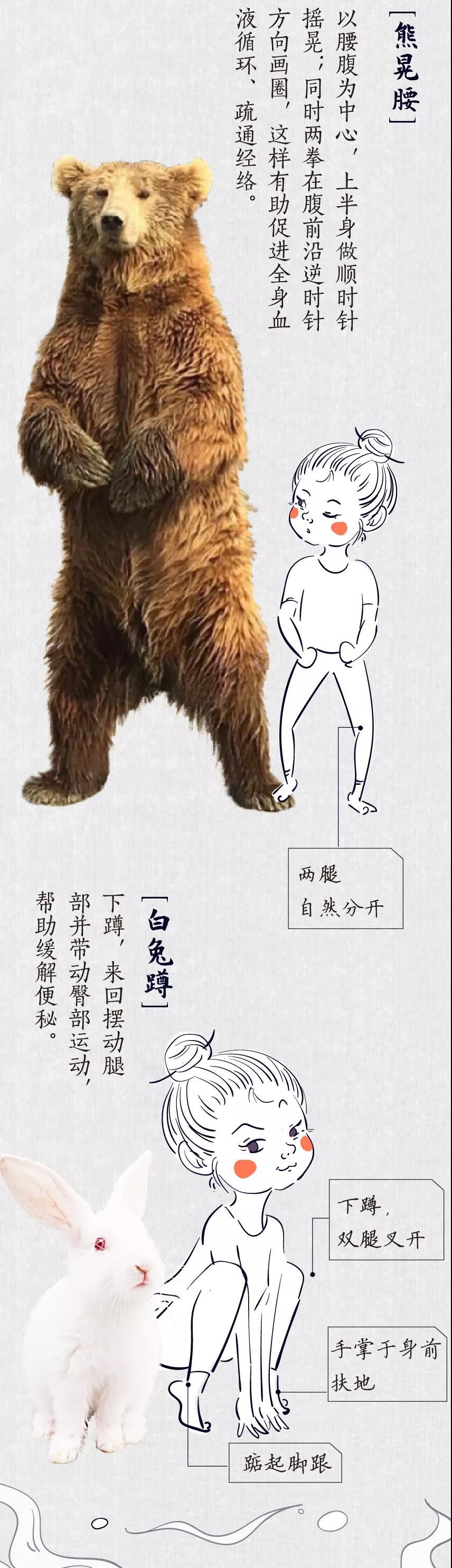 考古学家 世界动物日 在养生这件事上，动物也不赖！