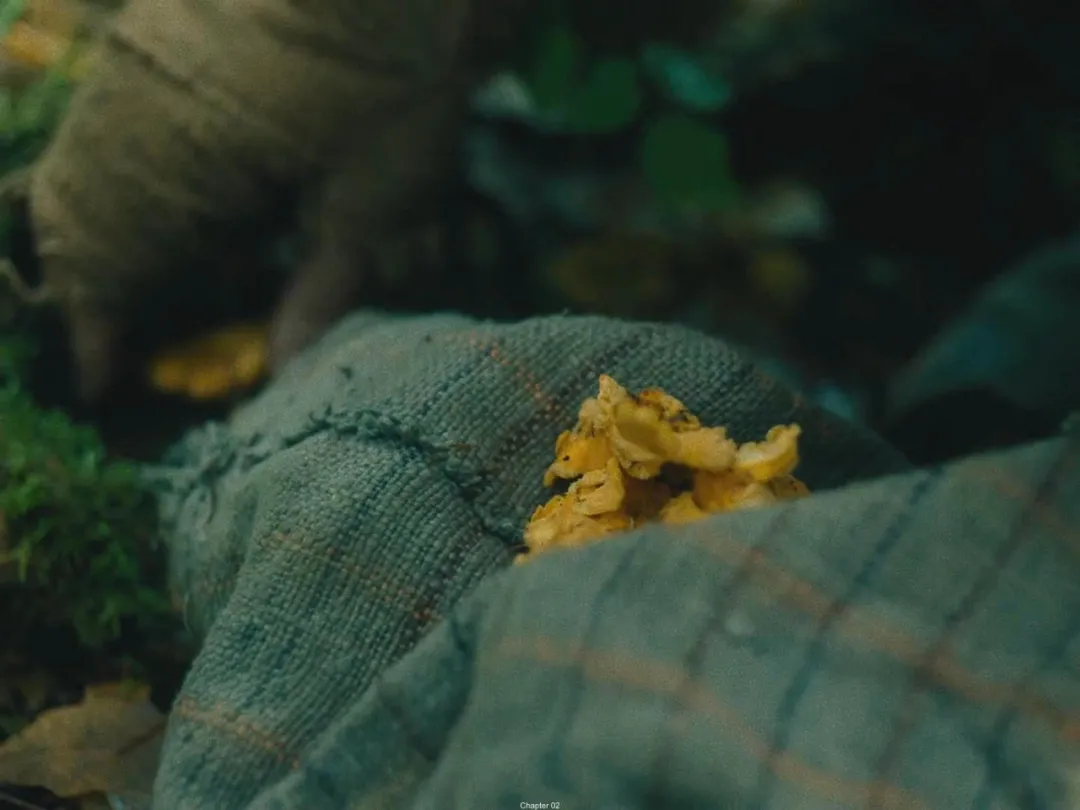 美国电影|美国电影终于好好拍中国人了！