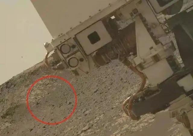 sars 假如火星上真的存在过生物，人类会有何反应？NASA：是人类的悲剧