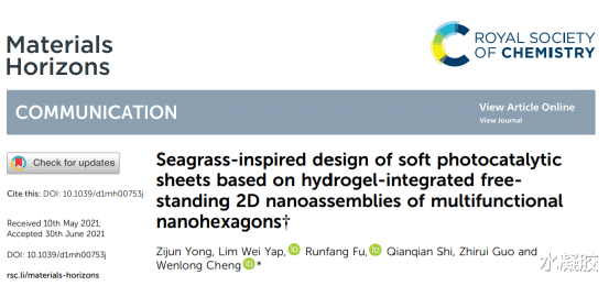 纳米 海草启发水凝胶集成的纳米六边形独立式二维纳米组件的软光催化片