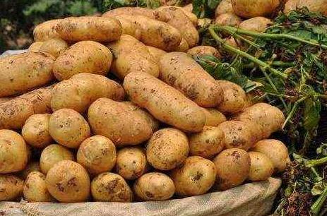 疾病|专家提醒：血糖偏高的人，双脚一般会有3种现象，不妨自查一下