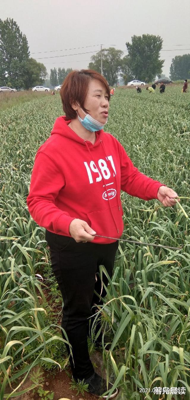 落凫晨读 截胡！美女开车半路拦人救急  事关大部分中牟人的美好明天