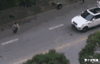 装修的时候做了个榻榻米，两年不到成这样子了，又要花钱了