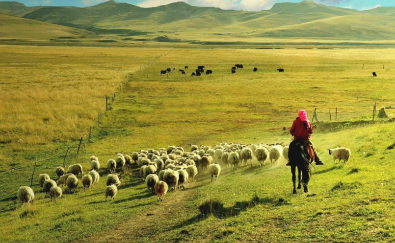 青藏铁路 中国又一超级工程！进藏“天路”即将完工，川藏铁路为何非建不可