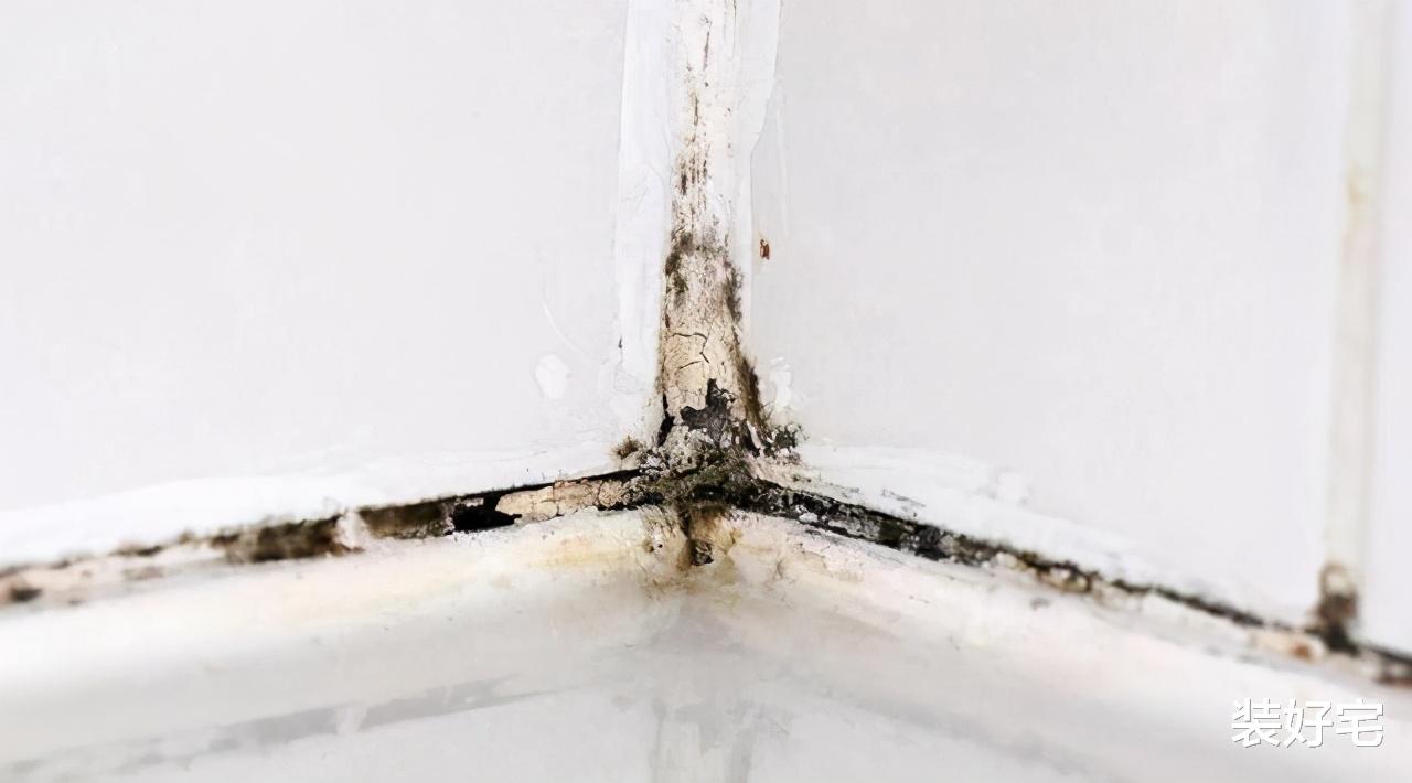 地垫|不要盲目跟风,这四种网红好物已经翻车了,妥妥的智商税