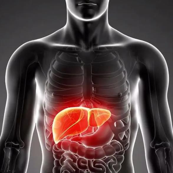 脂肪肝|米饭是脂肪肝的“发物”吗?提醒:若想养好肝,三物尽量少吃