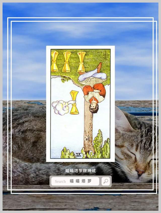 喵喵的塔罗|喵喵塔罗牌测试：测测你的心理衰老程度